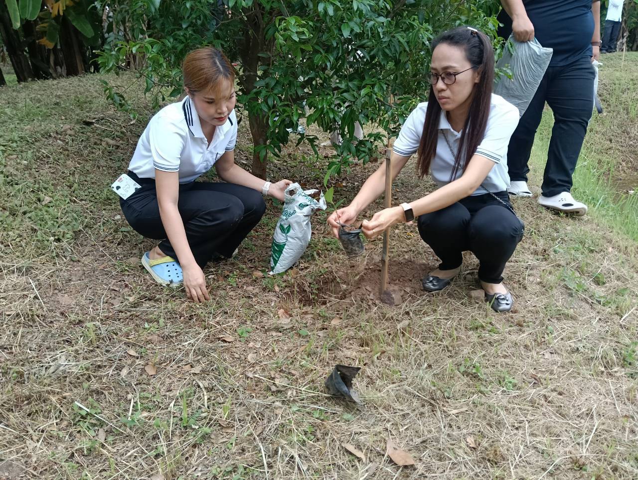 title - ส.ป.ก.แพร่ จัดโครงการ ปลูกเพื่อเปลี่ยน เปลี่ยนเพื่อยั่งยืน  เทิดไท้องค์ทศมราชา เพื่อเพิ่มพื้นที่สีเขียวในเขตปฏิรูปที่ดิน